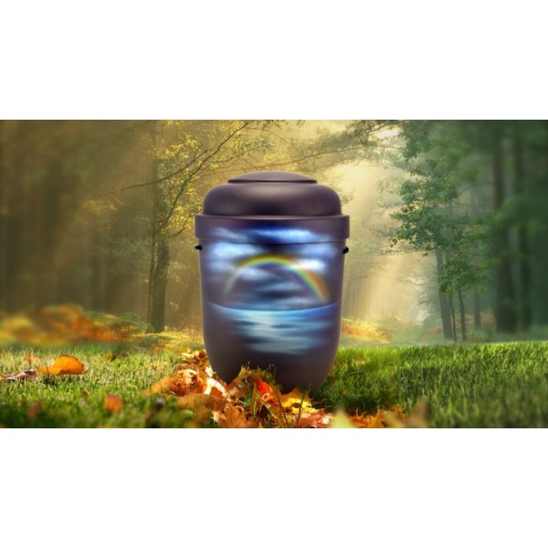 Biodegradable Cremation Ashes Funeral Urn / Casket - RAINBOW